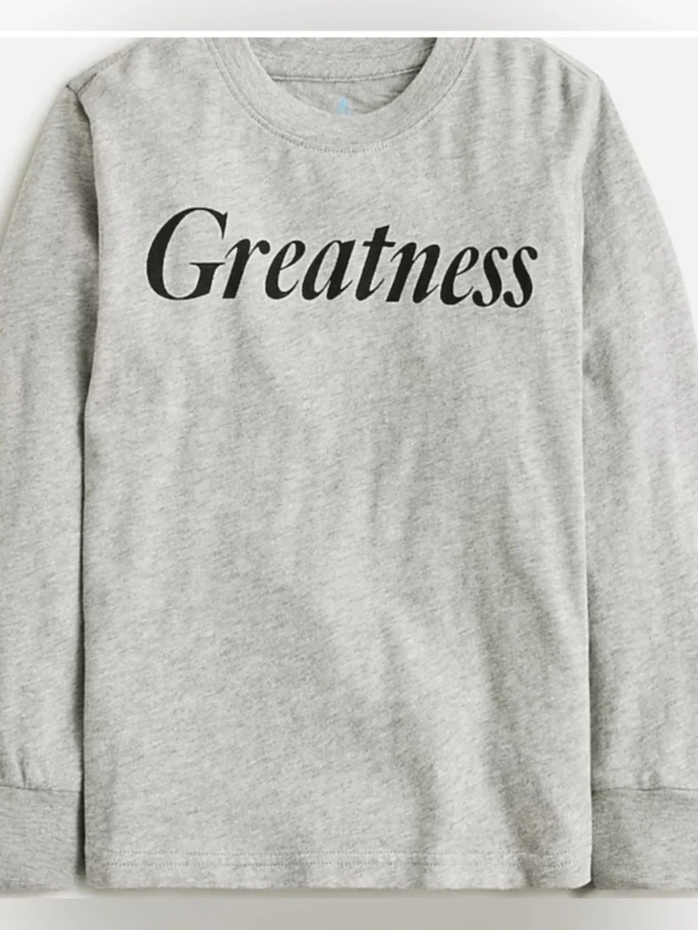 J. Crew Crewcuts Heather Gray Long Sleeve Tee with 